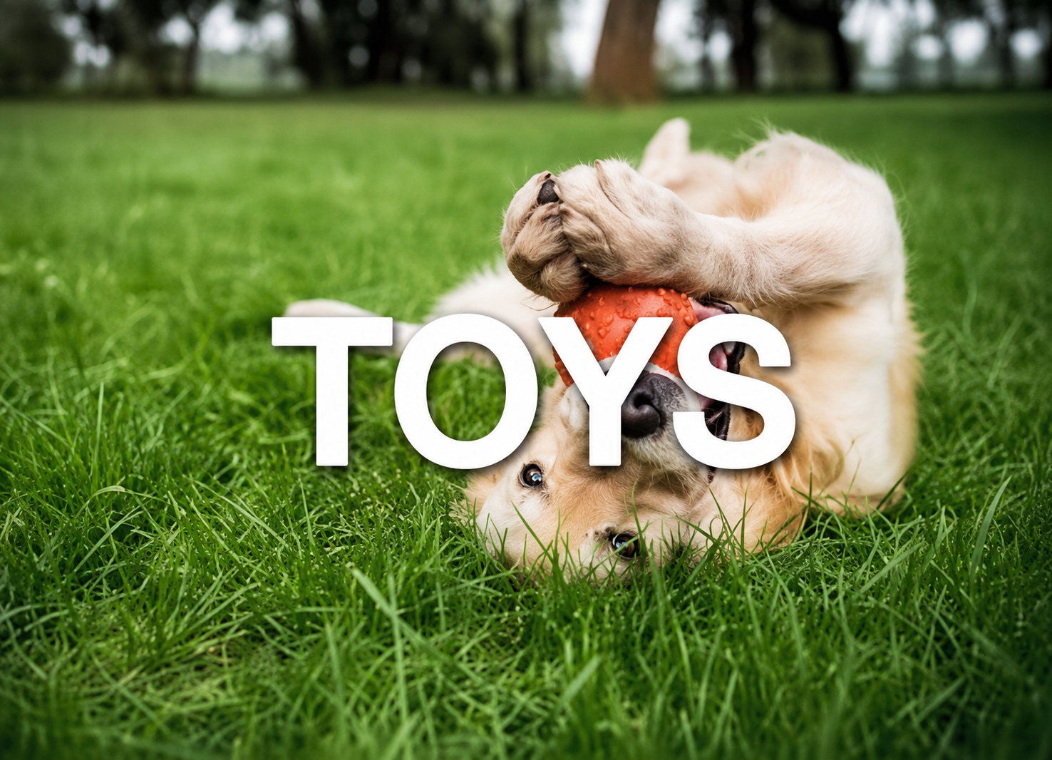 Toys