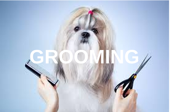 Grooming